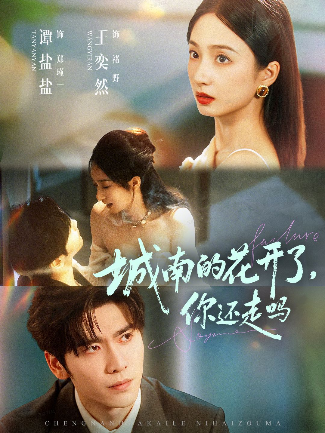 城南的花开了，你还走吗封面图