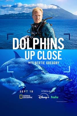 摄影师贝尔蒂与海豚零距离封面图