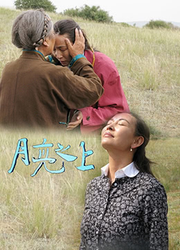 月亮之上封面图
