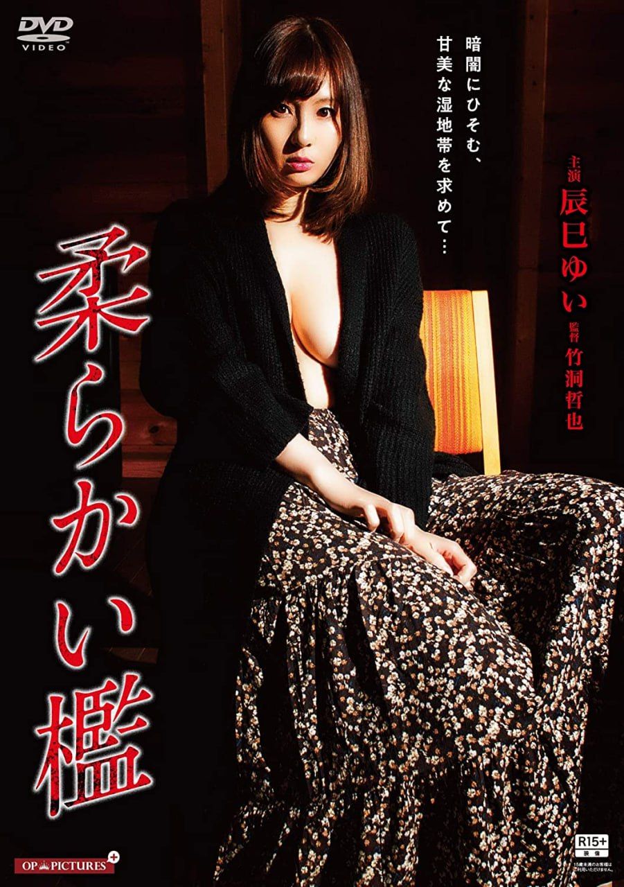 软禁：深浅行动封面图