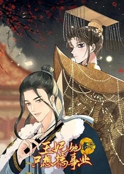 王妃她只想搞事业封面图