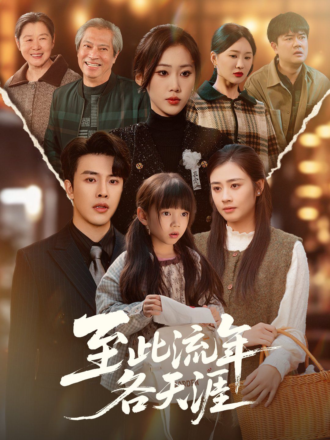 至此流年各天涯封面图