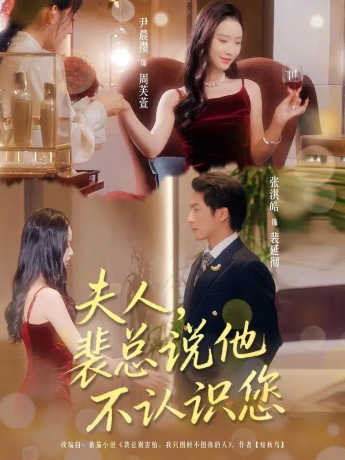 夫人裴总说他不认识您封面图