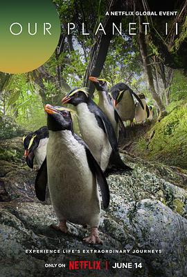 我们的星球 第二季封面图