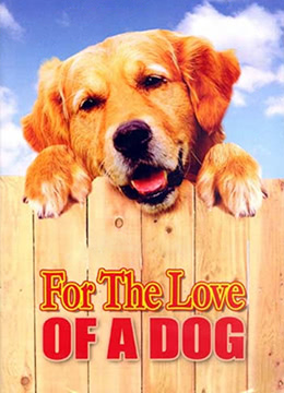 旺旺心事封面图