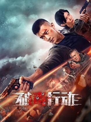 破毒行动封面图