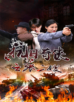 抗日奇侠之张二嫂封面图