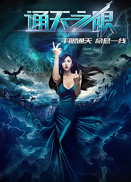 通天之眼封面图