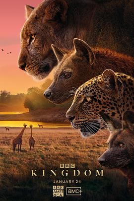 动物王国(普通话版)封面图