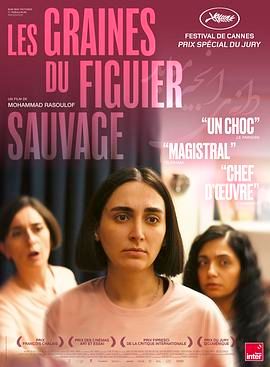 神圣无花果之种封面图