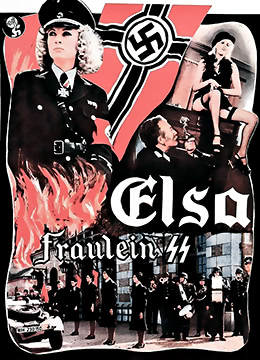 纳粹疯淫史之歌手封面图