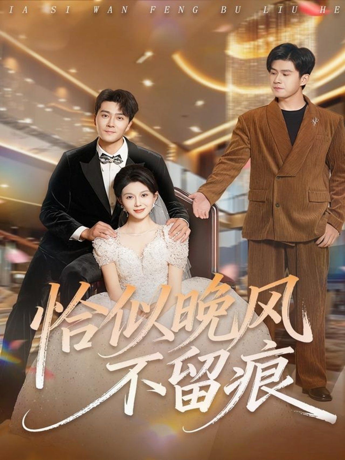 恰似晚风不留痕封面图