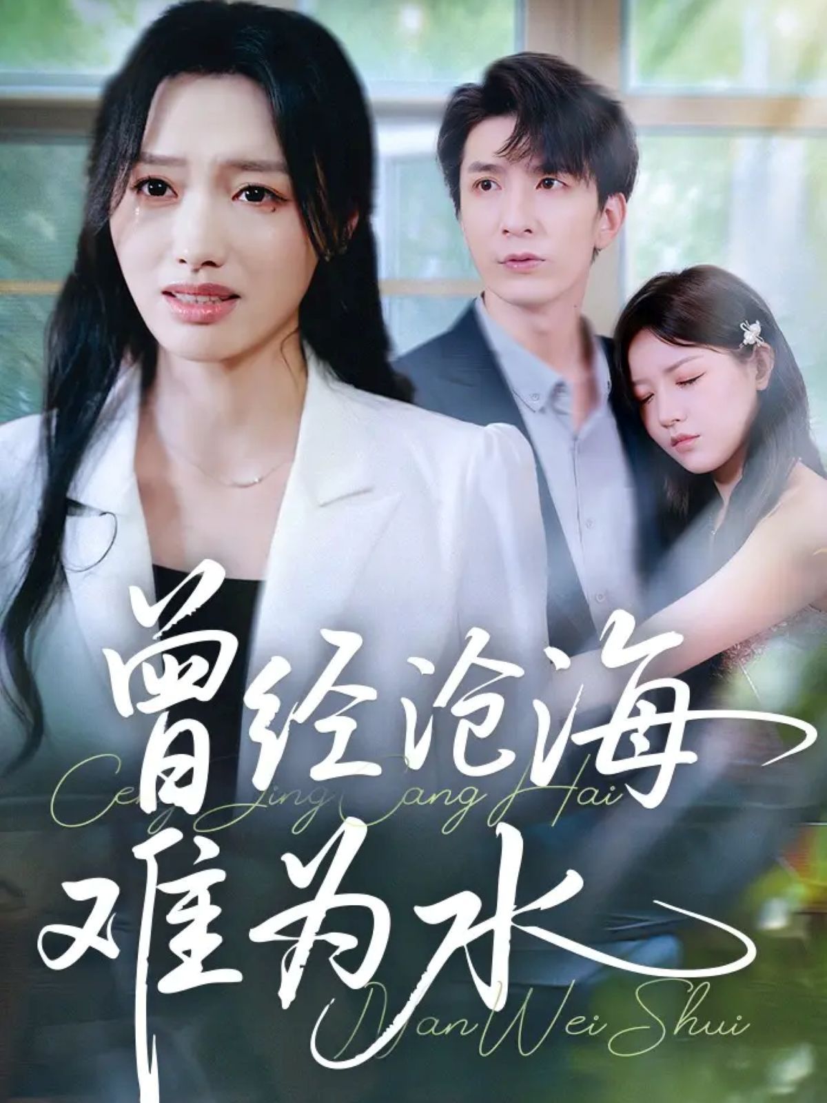 新曾经沧海难为水封面图