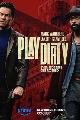 盗亦有道2025封面图