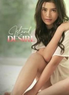 欲望之岛封面图