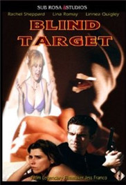 盲目的目标封面图