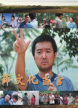 薛文化当官记封面图