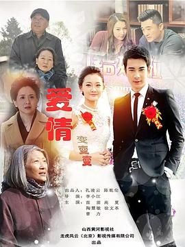 爱情变变变封面图