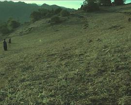 梦回远山封面图