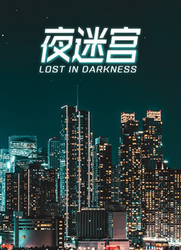 夜迷宫封面图