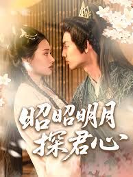 昭昭明月心封面图