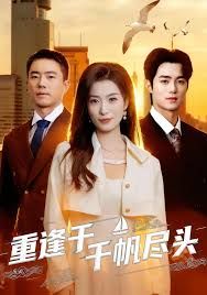重逢于千帆尽头封面图