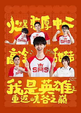 我是英雄之重返峡谷之巅封面图