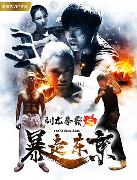 驯龙拳霸之暴走东京封面图