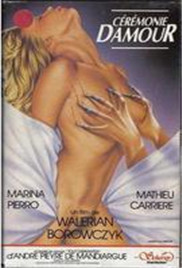 美丽的代价封面图