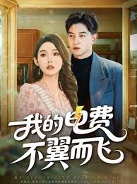 我的电费不翼而飞封面图