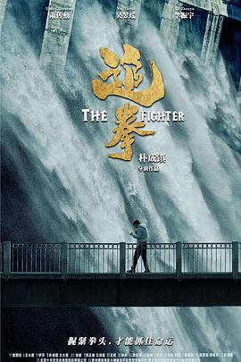 追拳封面图