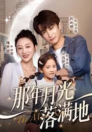 那年月光落满地封面图