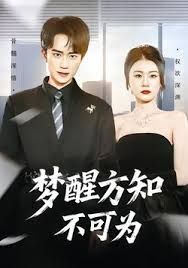 梦醒方知不可为封面图