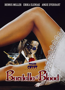 青楼禁地封面图