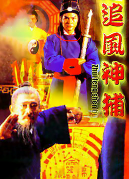 追风神捕封面图