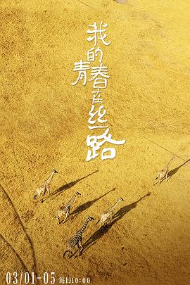 我的青春在丝路封面图
