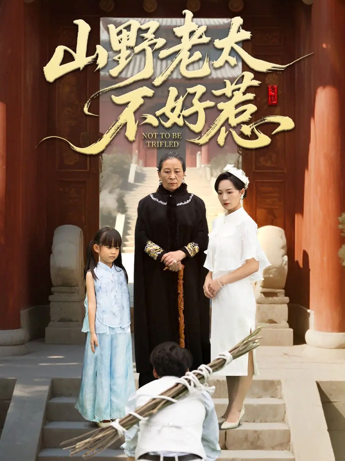 山野老太不好惹（奶奶一脚震全城）封面图