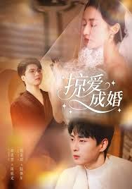 掠爱成婚封面图