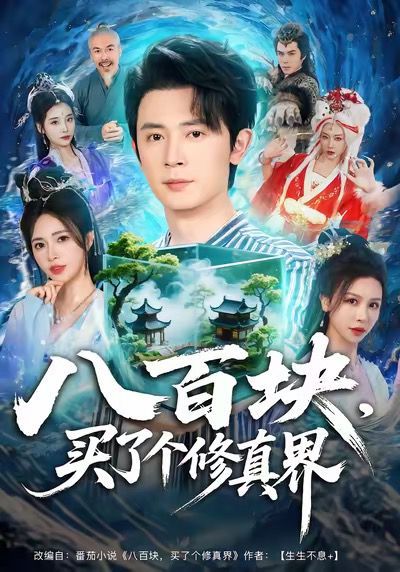 八百块，买了个修真界封面图