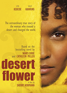 沙漠之花封面图