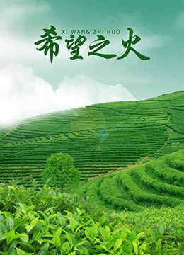 希望之火封面图