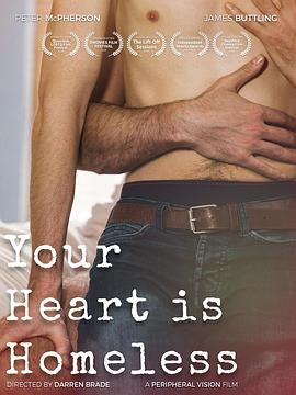 你流浪的心封面图