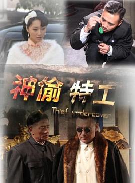 神偷特工封面图