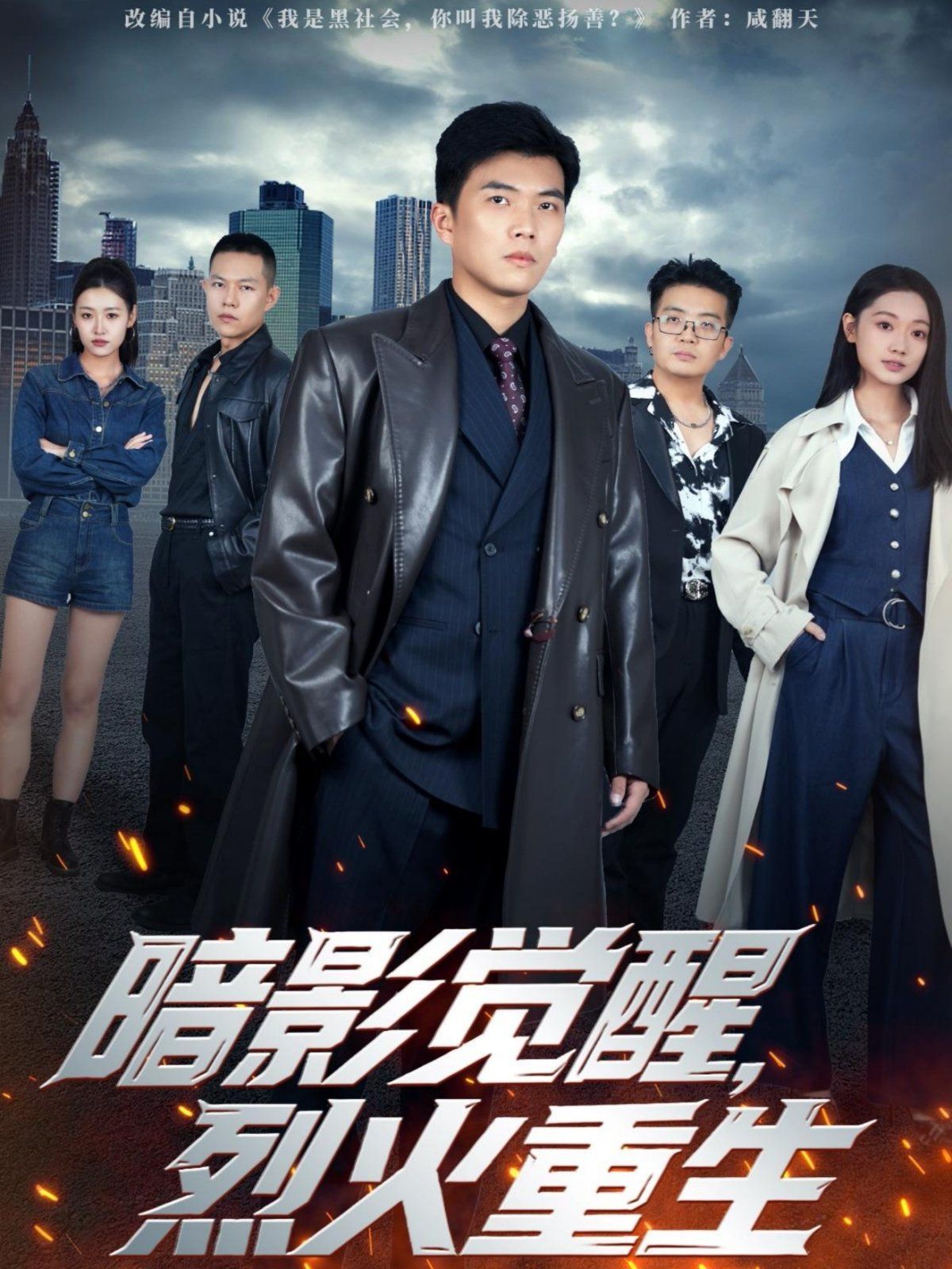 暗影觉醒，烈火重生封面图