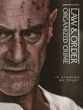 法律与秩序：组织犯罪 第五季封面图