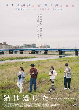 猫猫逃走了封面图