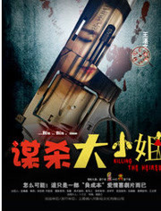 谋杀大小姐封面图