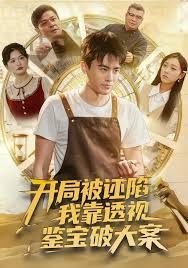 开局被诬陷，我靠透视鉴宝破大案封面图