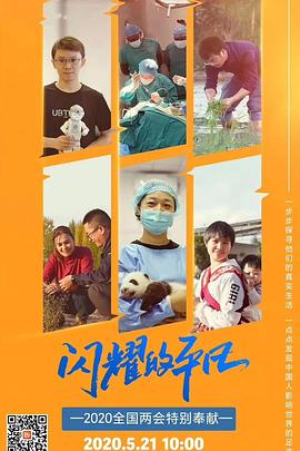 闪耀的平凡封面图