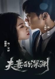 夫妻的深渊封面图